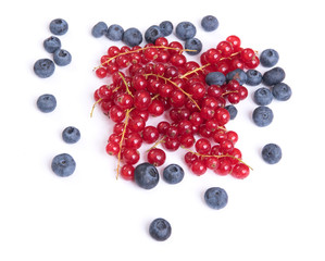 blueberry and Red Currant isolated
