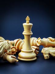 Chess concept save the king and save the  strategy.