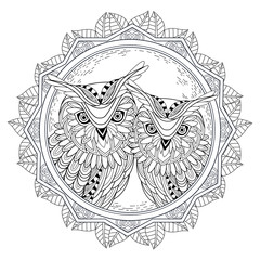Obraz premium lovely owl couple