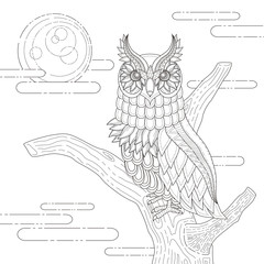 lovely owl coloring page