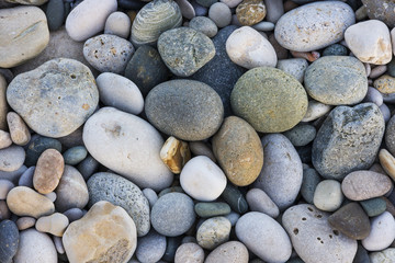 texture of the pebbles