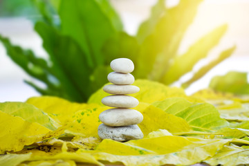 white zen stone balance in the nature background