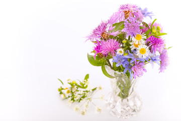 Bouquet of violet and purple meadow flowers, white background