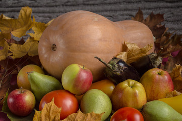 Autumn harvest. Pumpkin with vegetables, fruits and yellow leave