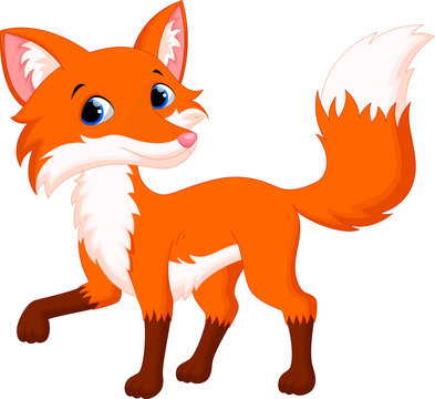 Cute Fox Cartoon