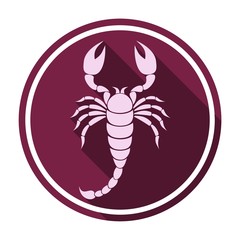 Scorpion icon with long shadow