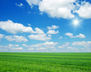 Green field, blue sky and sun
