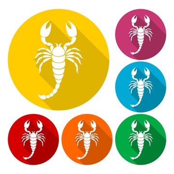Scorpion icons set with long shadow