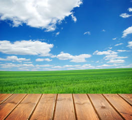  field under blue sky. Wood planks floor