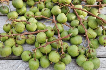 Green baby kiwi berries 