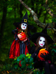 Fototapeta na wymiar Two witches in the forest, Halloween concept