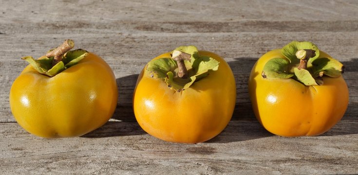 Three ripe persimmon fruit in a row