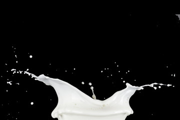 Milk Splash