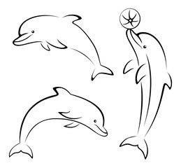 Fototapeta premium Dolphins and Ball Contours