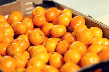 ripe mandarins at food market or farm