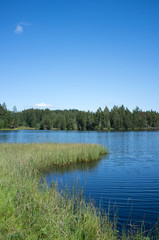 Fototapeta na wymiar Beautiful pond surrounded by trees under a clear blue sky