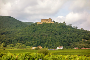Castle Hambacher Schloss, view from vineyard
