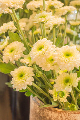 White flower displayed in coffee shop vintage color