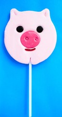 Pig candy on blue background