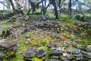 Ruins of round houses of Kuelap, ruined citadel city of Chachapoyas cloud forest culture in mountains of northern Peru.