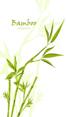 Hand-drawn green bamboo bacground with space for text