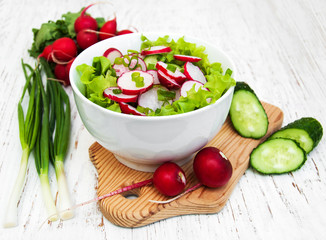 Spring salad with cucumbers and radish