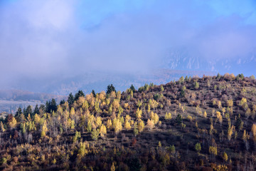 Autumn. Autumn landscape of deciduous trees in foreground.