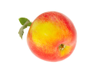 one apple with a leaf on a white background