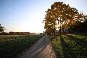 Fototapeta premium Herbsttage