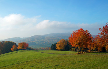 Wunderschöner Herbsttag im Odenwald