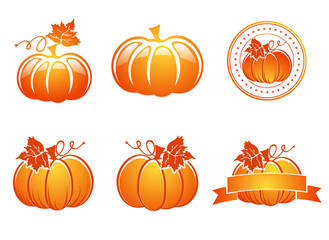 Pumpkin Collection