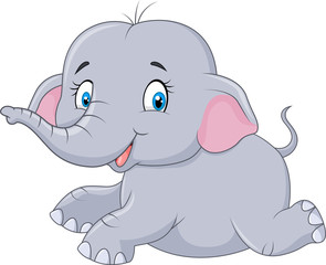 Obraz premium Cute baby elephant sitting isolated on white background 