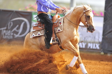 A side view of a rider stopping a horse in the dust.