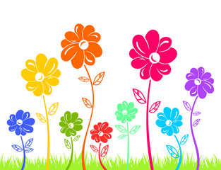 Colour flowers on green grass isolated