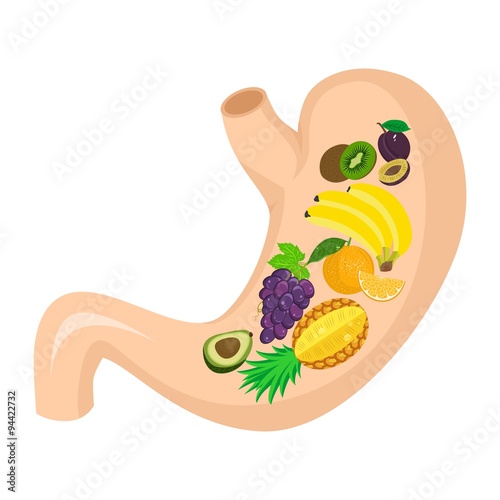 "fruits in stomach" Imágenes de archivo y vectores libres de derechos