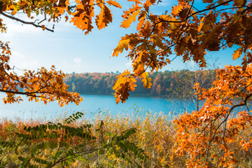 Jesienne klimaty nad jeziorem © Piotr Gołębniak
