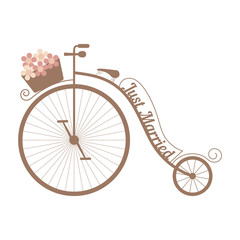 Vector wedding bicycle with basket of pink flowers