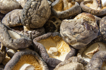 Dried Shiitake