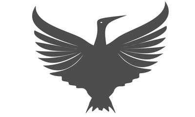 Fly