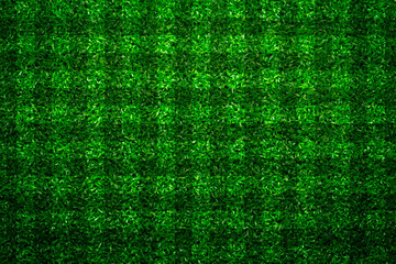 Green grass soccer field background