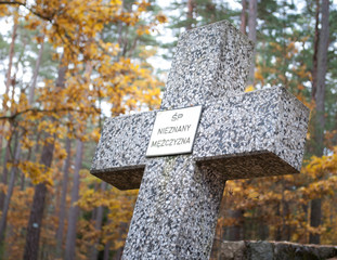 Fototapeta Krzyż na cmentarzu ofiar okupantów hitlerowskich w Piaśnicy. obraz