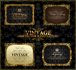 Vector vintage Gold frames decor label