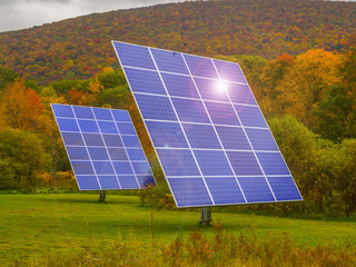 Solar panels in nature surrounded by fall foliage