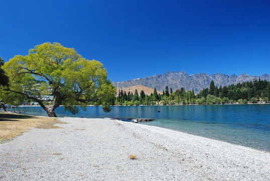 Beach Of Lake Wakatipu, Queenstown, New Zealand