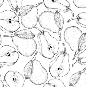 Seamless hand drawn pear background. Sketch style set of fruit. Vintage Eco food. Vector illustration.