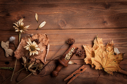 autumn background with fruits and spices with dried flowers place for inscription