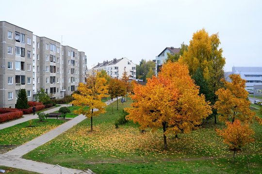 Autumn in Vilnius city Pasilaiciai district on October 22, 2015