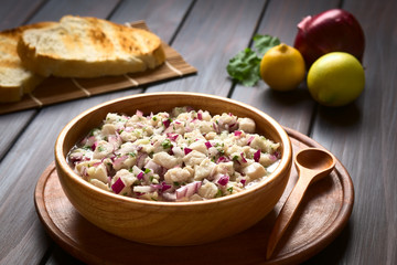 Chilean Ceviche made of Southern Ray's bream fish (lat. Brama Australis, Spanish Reineta), onion, garlic, cilantro, lemon juice (Selective Focus, Focus one third into ceviche)