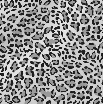 Leopard print pattern gray scale vector