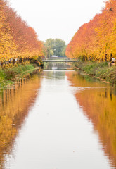 Autumn in the city.
Trees along a canal. Bridge in background.